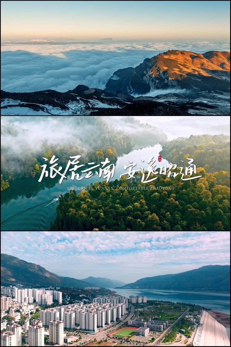 山西网络传媒：连接世界的桥梁